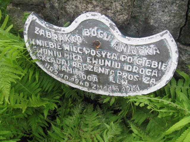 Ewa Lew 1960 Łańcut - Grobonet - Wyszukiwarka osób pochowanych