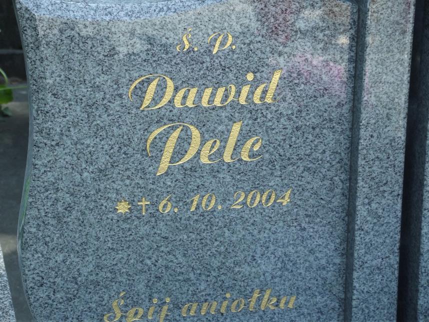 Dawid Pelc 2004 Łańcut - Grobonet - Wyszukiwarka osób pochowanych