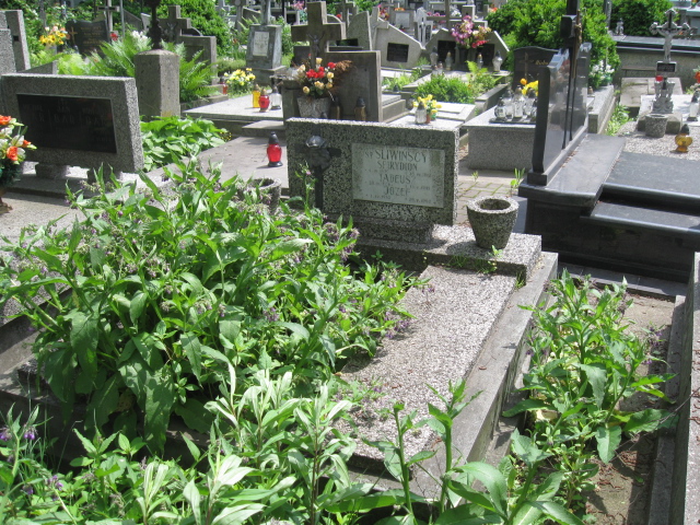 Grób Józef Śliwiński