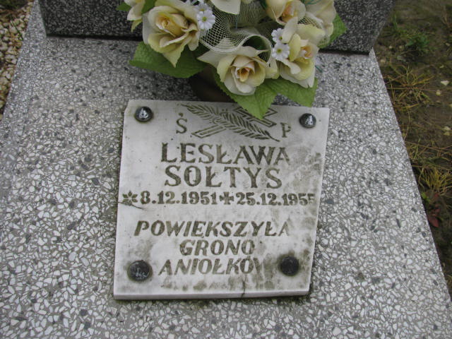 Lesław Sołtys 1951 Łańcut - Grobonet - Wyszukiwarka osób pochowanych