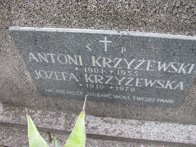 Antoni Krzyżewski 1901 Łańcut - Grobonet - Wyszukiwarka osób pochowanych