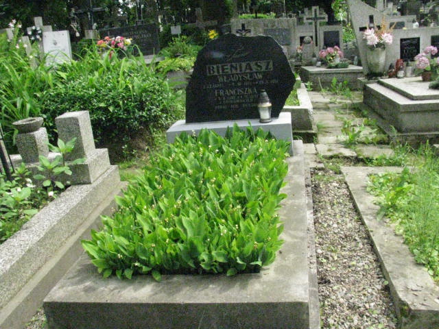 Grób Władysław Bieniasz