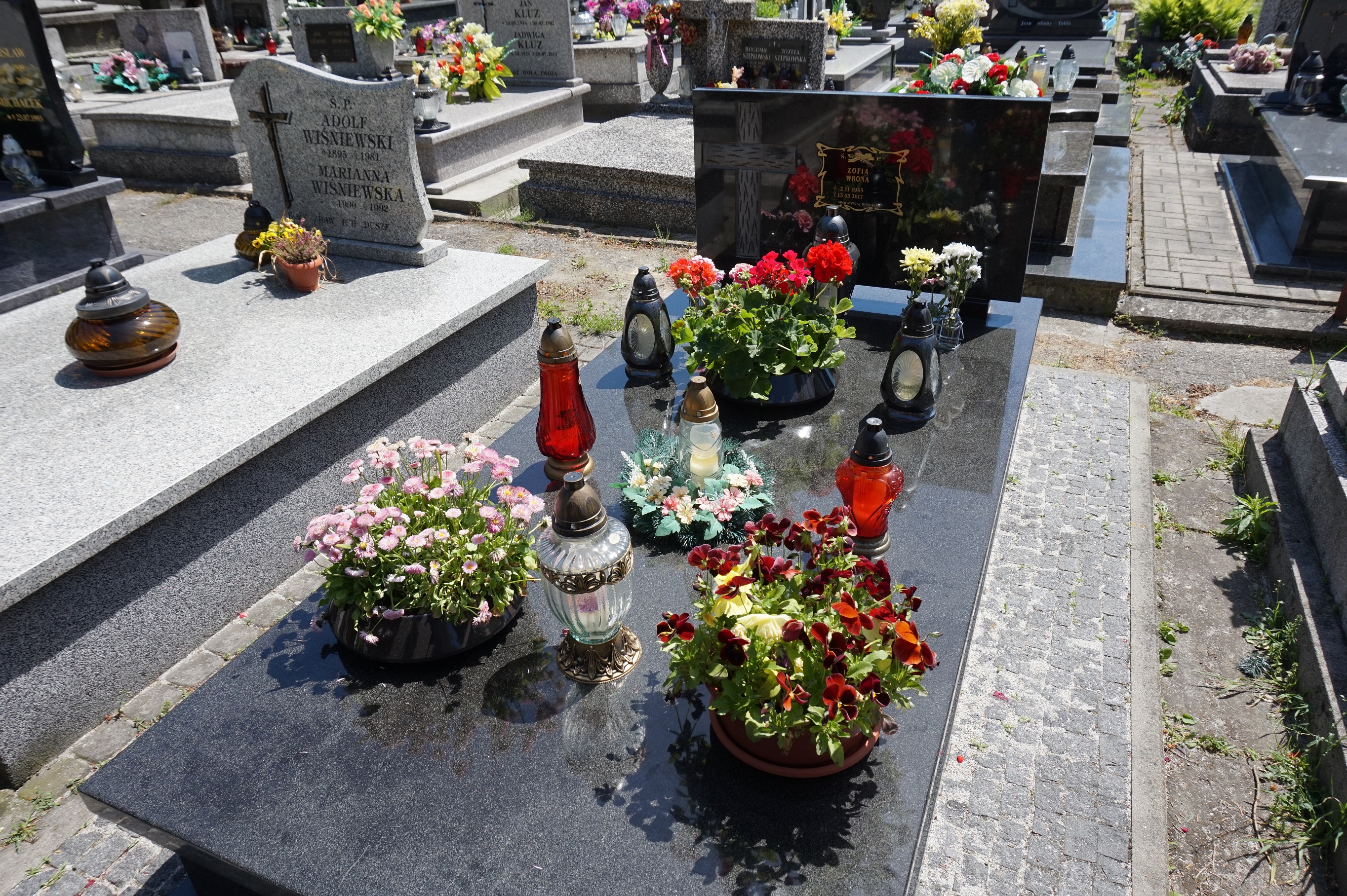 Zofia Wrona 1945 Łańcut - Grobonet - Wyszukiwarka osób pochowanych