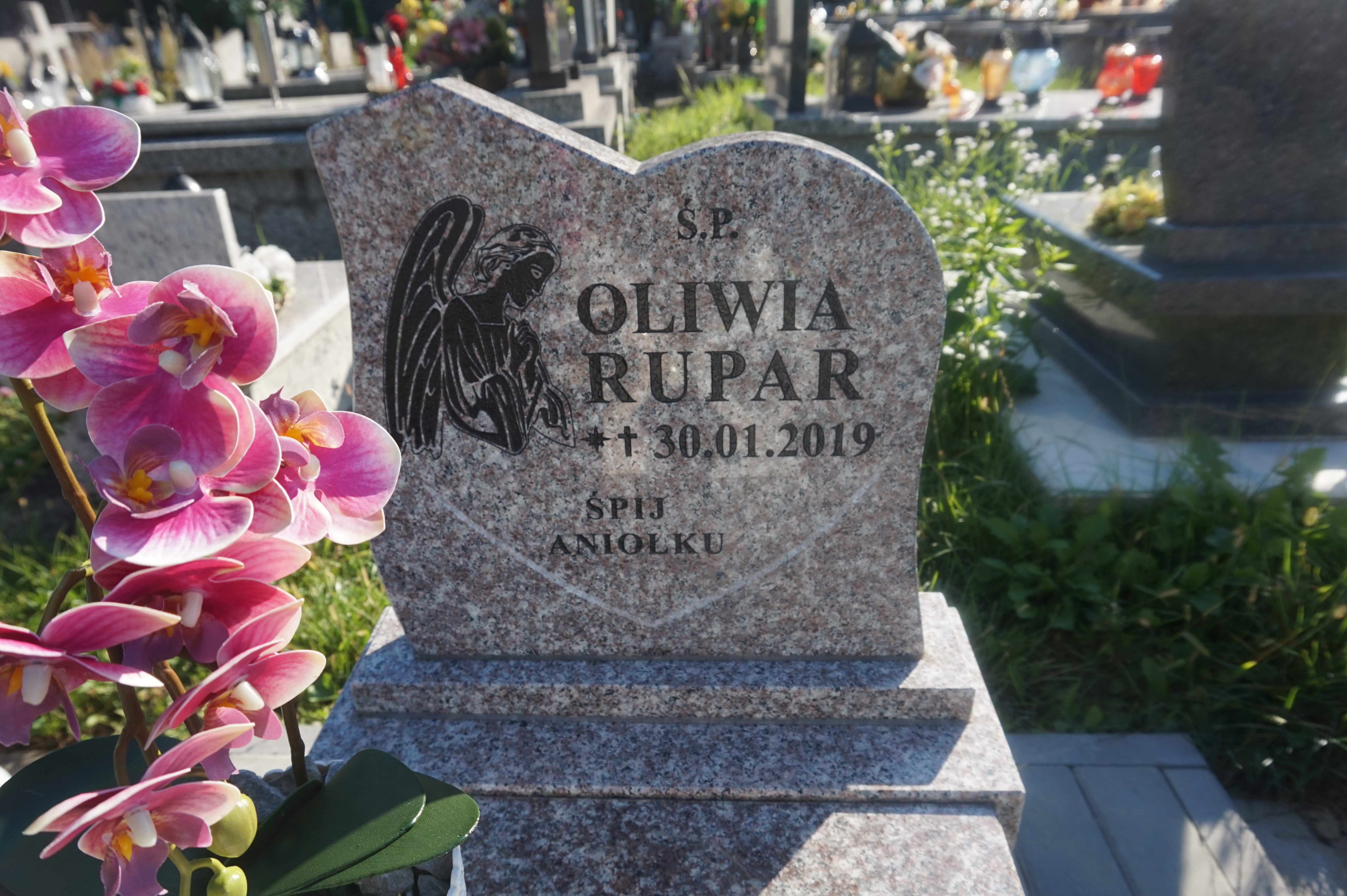 Oliwia Rupar 2019 Łańcut - Grobonet - Wyszukiwarka osób pochowanych