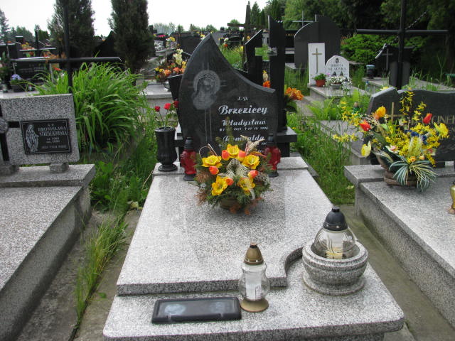 Grób Władysław Brzezicki