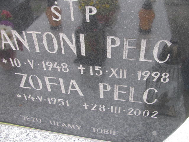Antoni Pelc 1948 Łańcut - Grobonet - Wyszukiwarka osób pochowanych