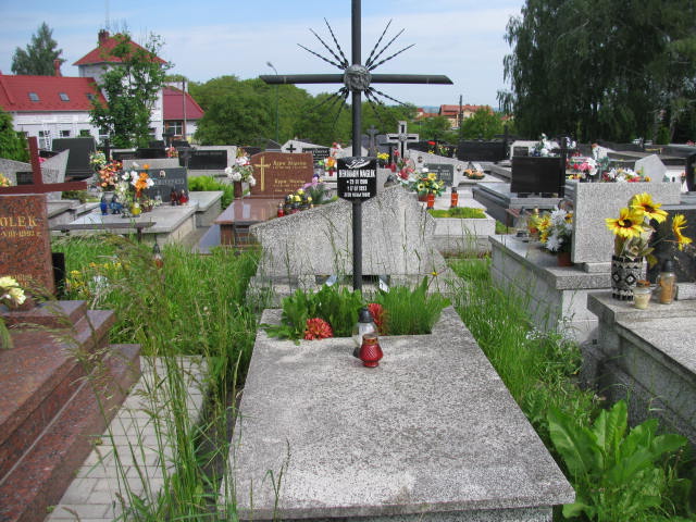 Grób Beniamin Naglik