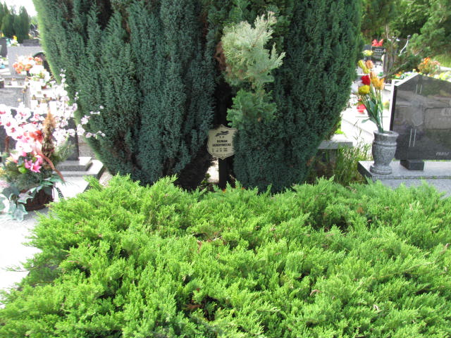 Grób Roman Serdyniecki