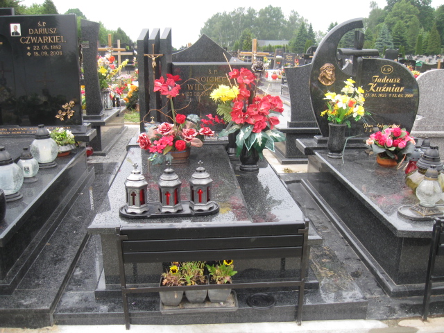 Grób Wojciech Wilczyński