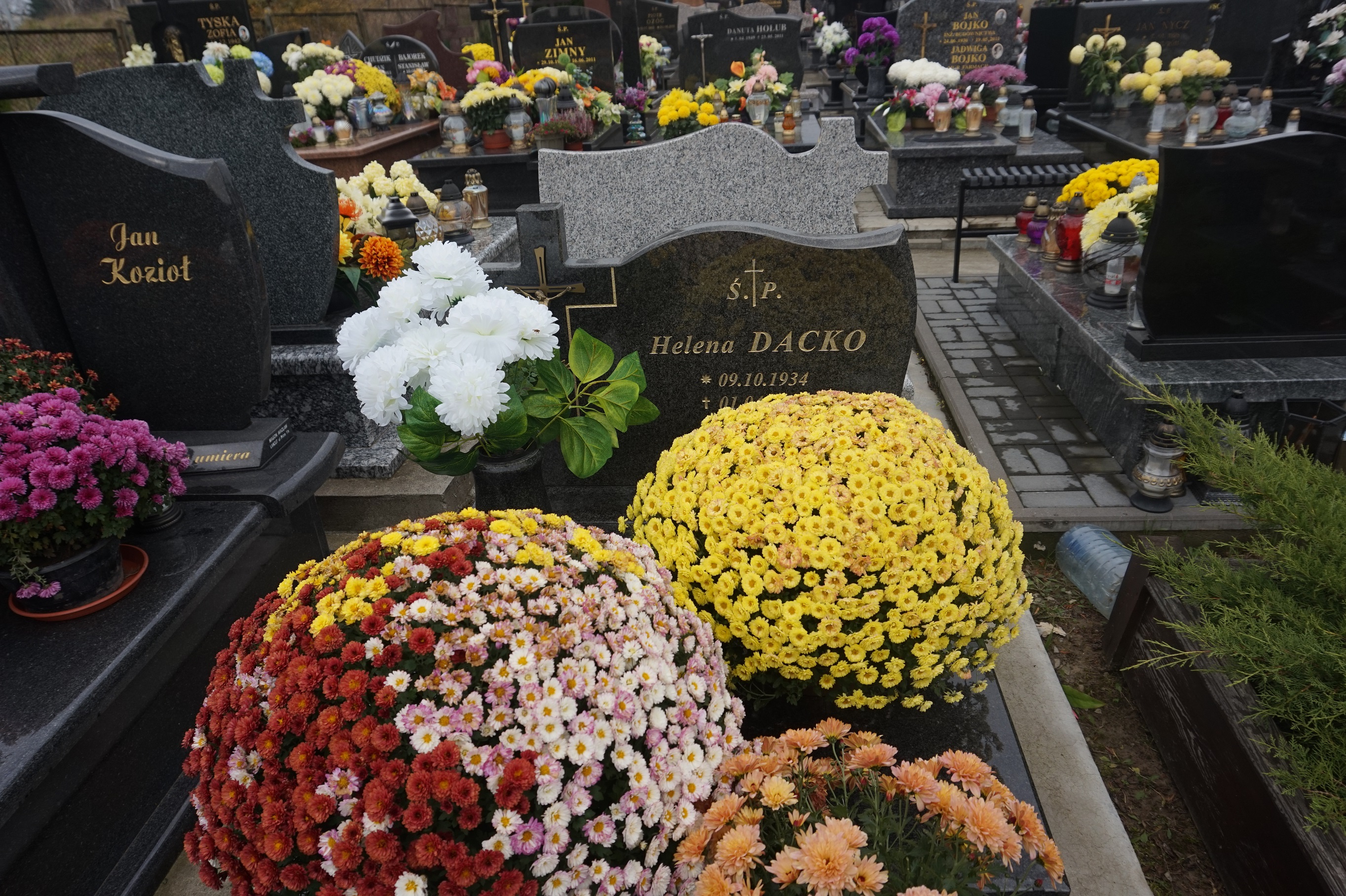 Grób Helena Dacko